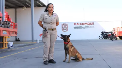 Kiara la oficial canina especializada en detección de polvora en Tlaquepaque