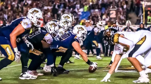 z - 2024-03-03T123607.684.jpg