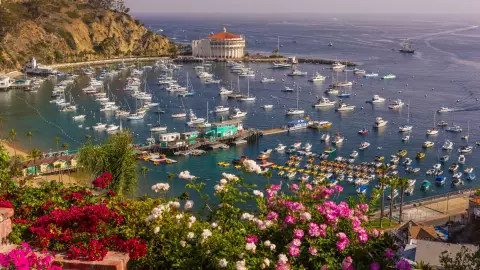 el bonito lugar llamado Avalon en California que tiene una bell&iacute;sima costa