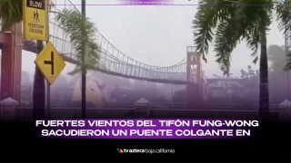 Puente_portada.png
