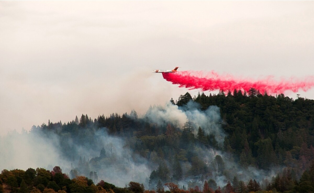Qué es el polvo rosa que usan para apagar los incendios en California