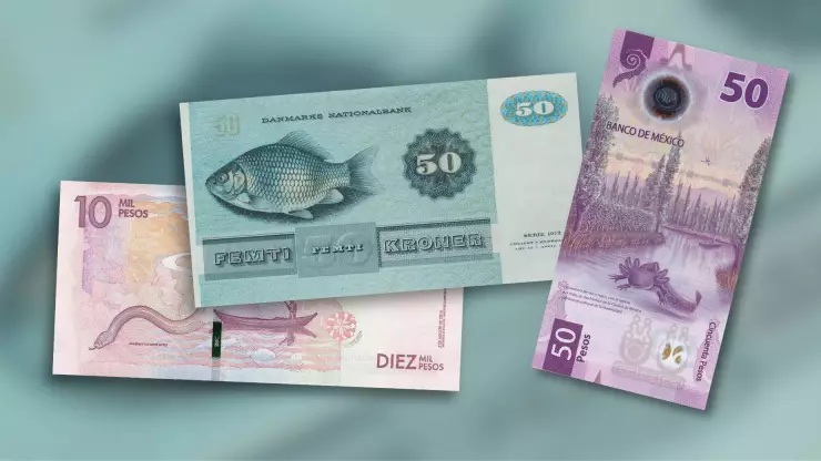 Pagan hasta 5,000,000 por billete de 50 pesos con imagen de una “ranita%22.jpg