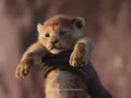 El Rey León Live Action Doblaje