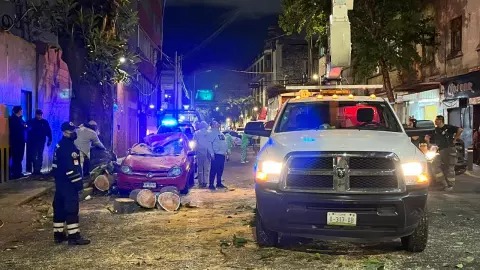 AUTO DESTROZADO CAÍDA DE RAMA CUAUHTÉMOC.jpg
