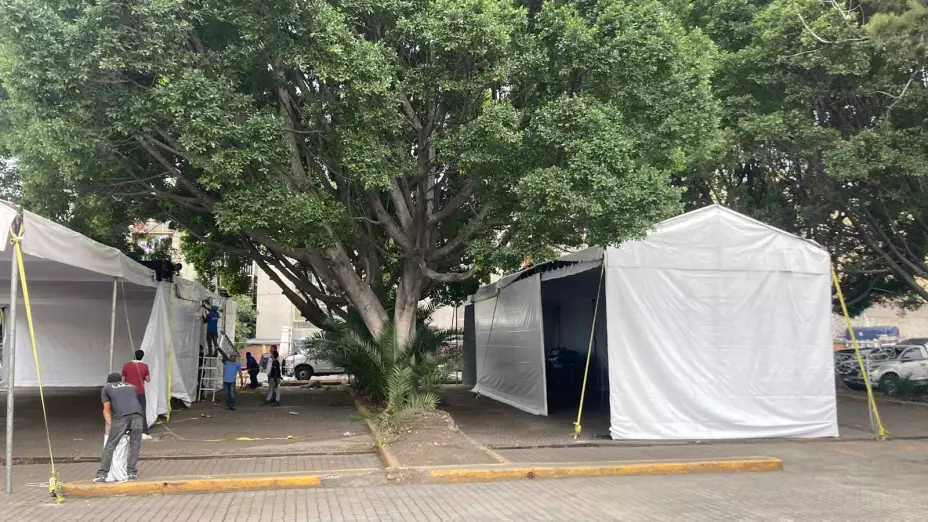Plantón Triqui