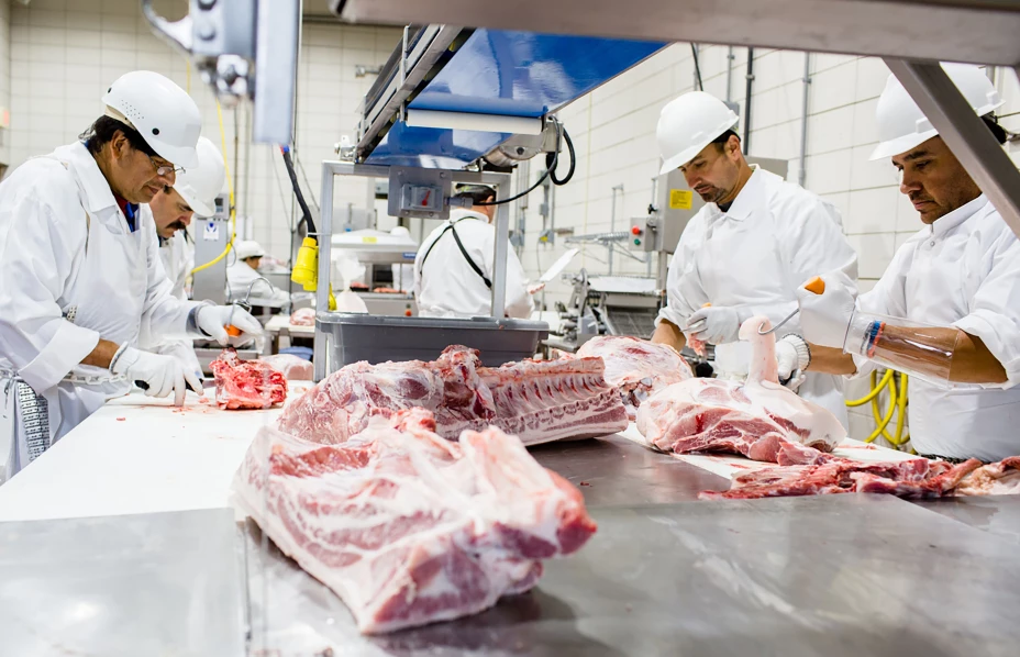 Industria carnica.jpg