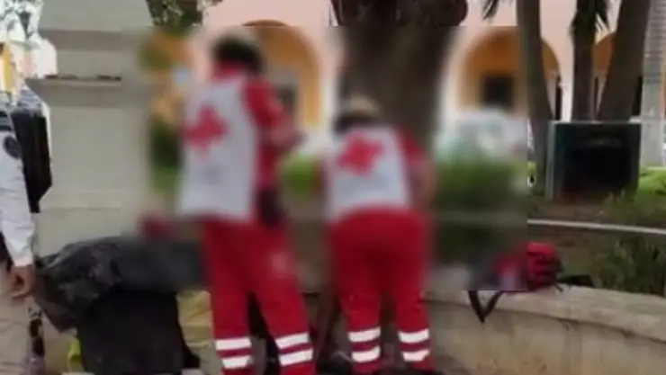 Mujer se desploma y sufre CRISIS en pleno parque de San Martín, desata momentos de alarma