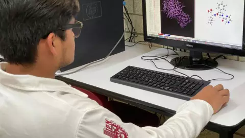 IPN estudia al boro como inhibidor de la COVID-19