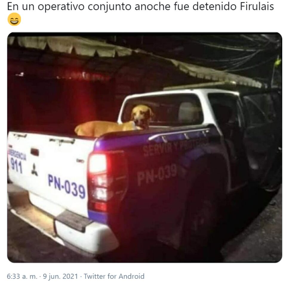 perrito_memes