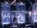 Te contamos lo que hay detrás del supuesto idioma alienígena que habla Mafe Walker.