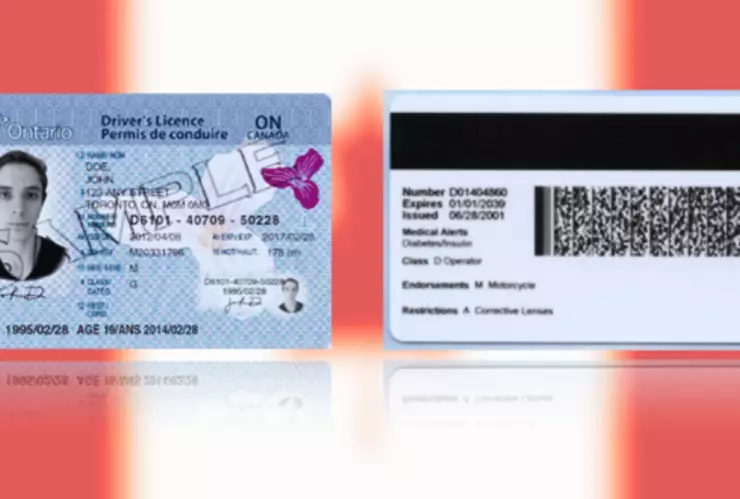 ¿cómo tramitar tu licencia de conducir en Québec, Canadá si ya tienes una de méxico.