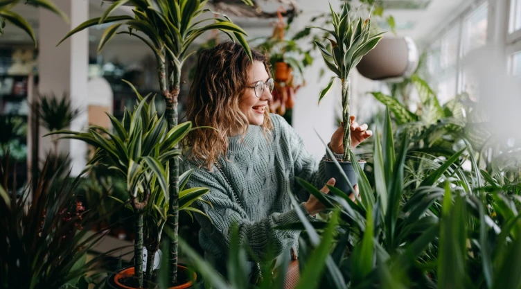 ¿Qué significa que alguien tenga muchas plantas en su casa, según la psicología?