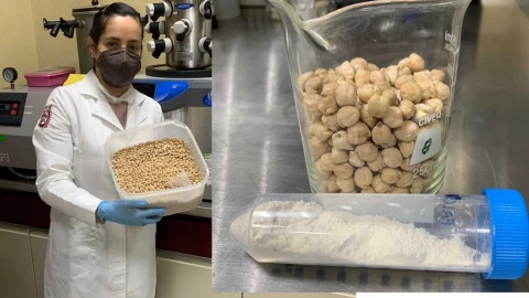 ipn garbanzo cancer colon