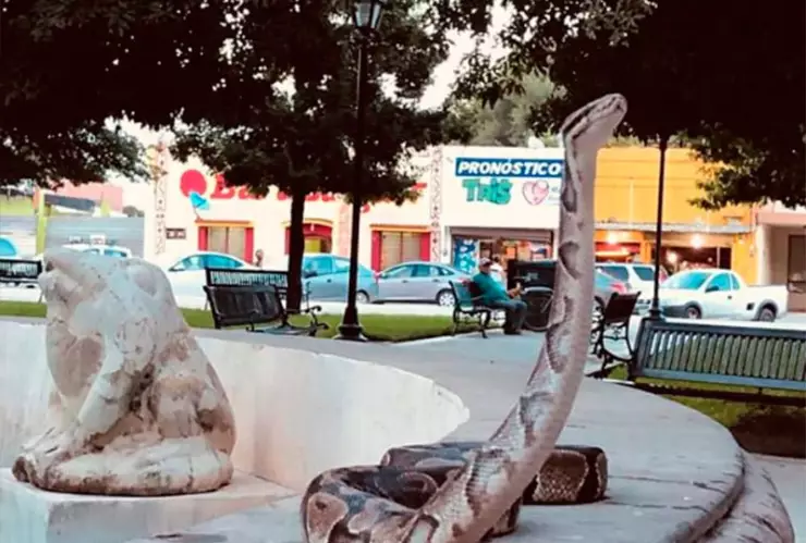 Dueño pasea a su mascota pero provoca pánico en Nuevo León