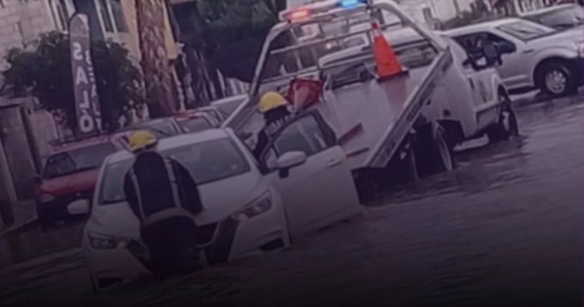 tvazteca