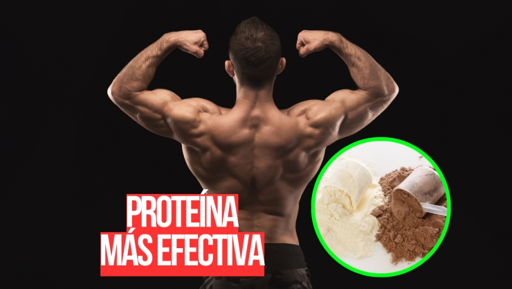 Cuál es la proteína más efectiva para aumentar músculo en México, según la IA