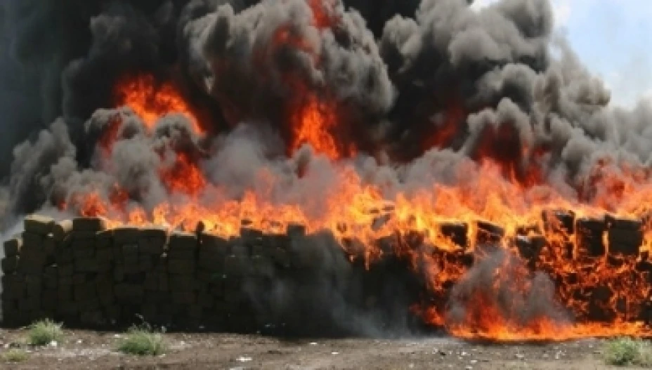 Incineración droga