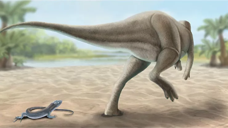 Calvarius rapidus, dinosaurio que existió antes de que se extinguiera la especie