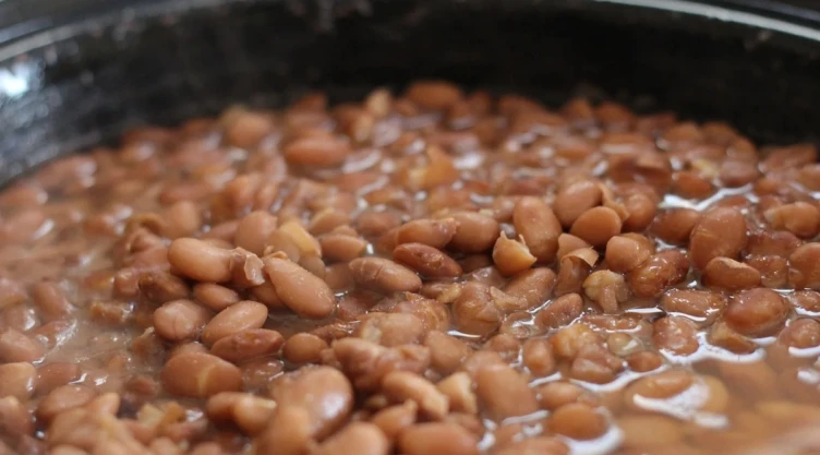 frijoles consumo UNAM