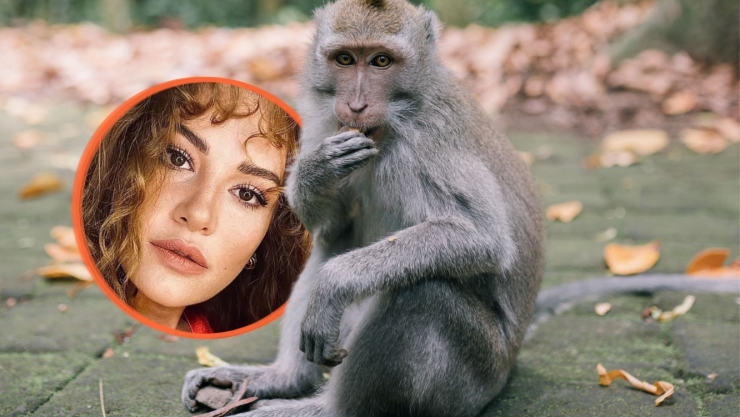 ¿Famosa actriz de novelas murió por la mordida de un mono? Esto es lo que se sabe