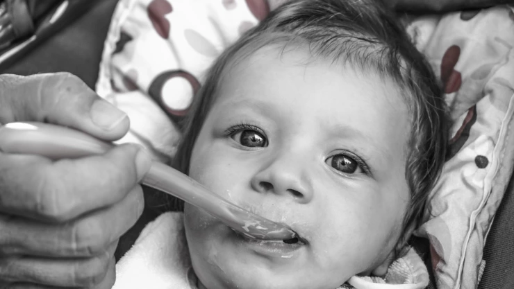 Alertan por riegos de micotoxina en papilla para bebés; ¿de qué marca?