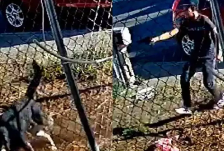 Menor dispara a perro que le ladró en Michoacán