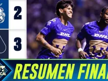 RESUMEN FINAL pumas.png