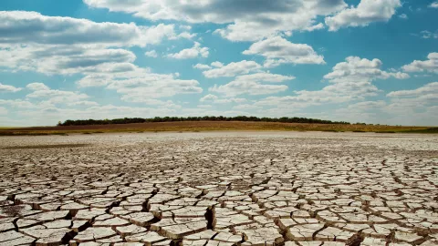 sequía
