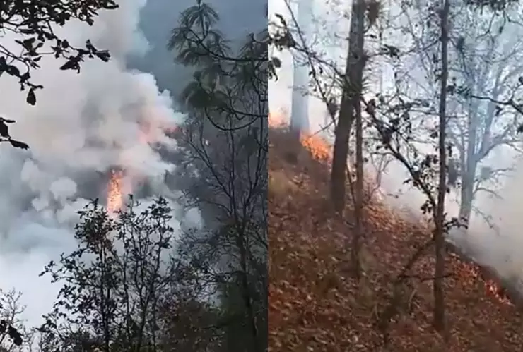 Incendio forestal en Santa Catarina Otzolotepec, Tehuacán amenaza flora local