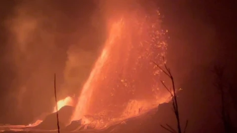 WhatsApp Image 2025-02-26 at 2.26.28 PM.jpeg