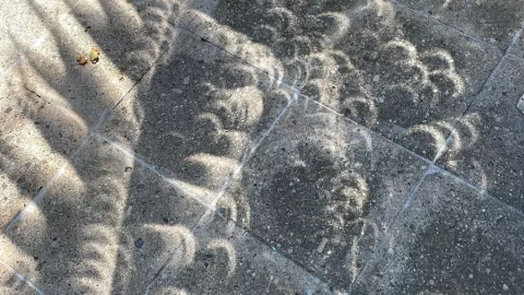 Así se observó la sombra del eclipse solar en Quintana Roo 2023