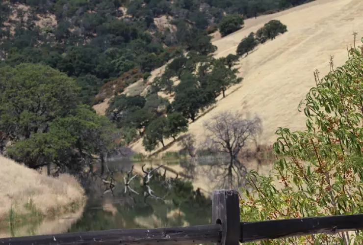 la bonita reserva hídrica llamada Los Vaqueros en California