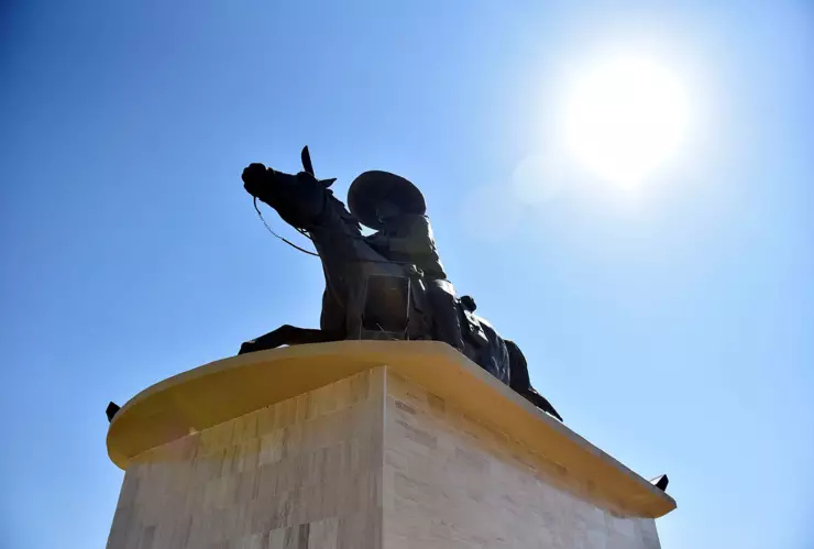 Te irás de vacaciones pero no sabes qué hacer con tu perro o gato