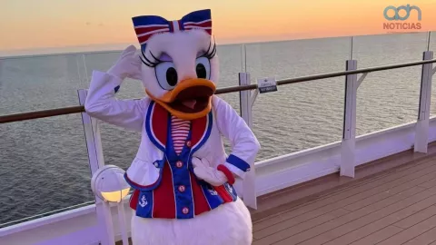 Disney Destiny ok.jpg