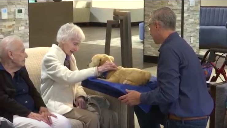 Cachorro robot puede ser el mejor amigo del hombre para personas con demencia senil