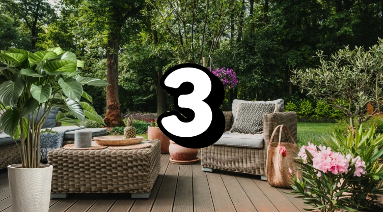 Expertos en jardinería coinciden: Estas son las 3 plantas que harán que tu jardín se vea lujoso y elegante