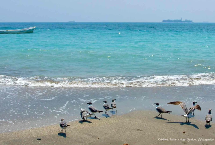 playas veracruz limpias.jpg