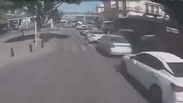 video viral de mujer atropellada en guadalajara.jpg