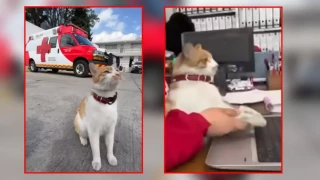 descarga - 2025-12-04T173813.260.webp