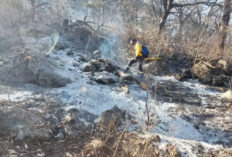Fuerte incendio forestal en Taxco se extiende hasta Juliantla, Guerrero