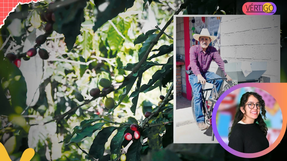 Sustentabilidad cafetalera