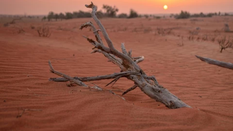Conoce las Dunas Rojas Hidalgo: Un pedacito de marte en México | VIDEO