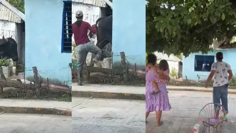 “¡Laniñaaaa!”: Toro hace estragos al entrar a casas