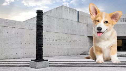 Perros podrán visitar el Museo Tamayo