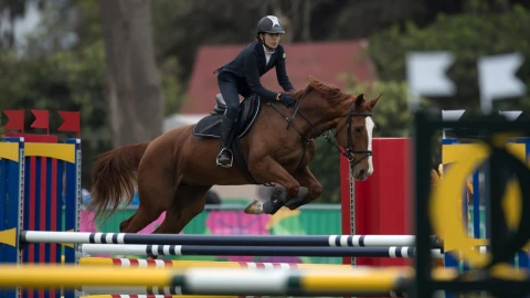 equitacion vegana finlandia deporte viral video.jpg