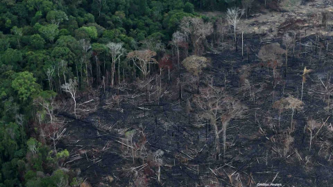 selva amazonica brasil deforestacion.jpg