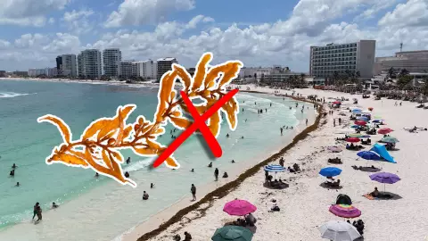 Playas libres de sargazo en Quintana Roo HOY 7 de agosto de 2025: Esta es la lista completa desde Cancún hasta Tulum