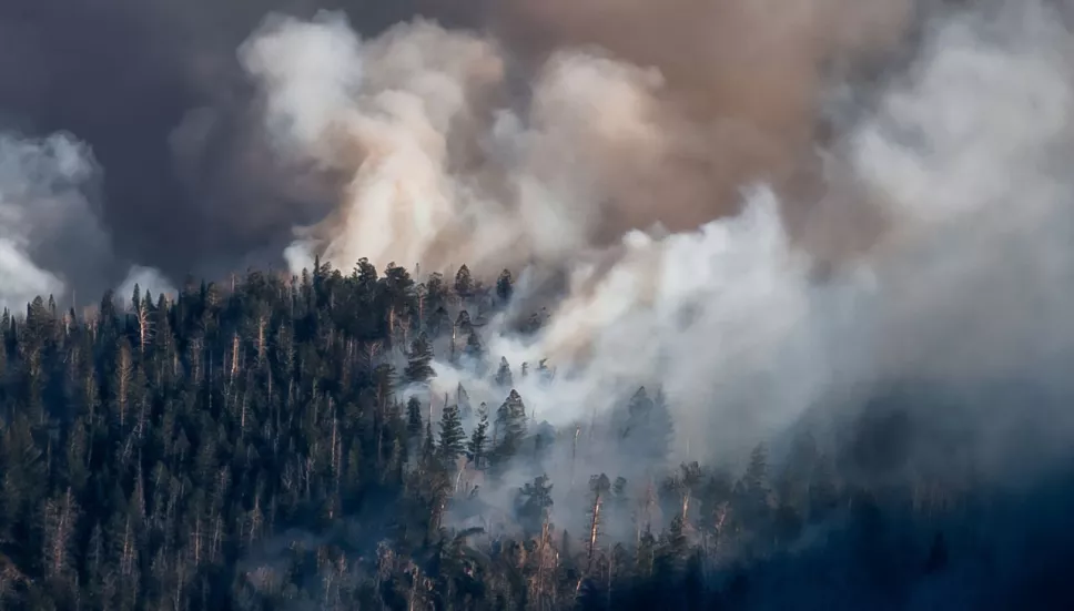 incendio Cerro del Tepeyac, 14 de abril del 2025