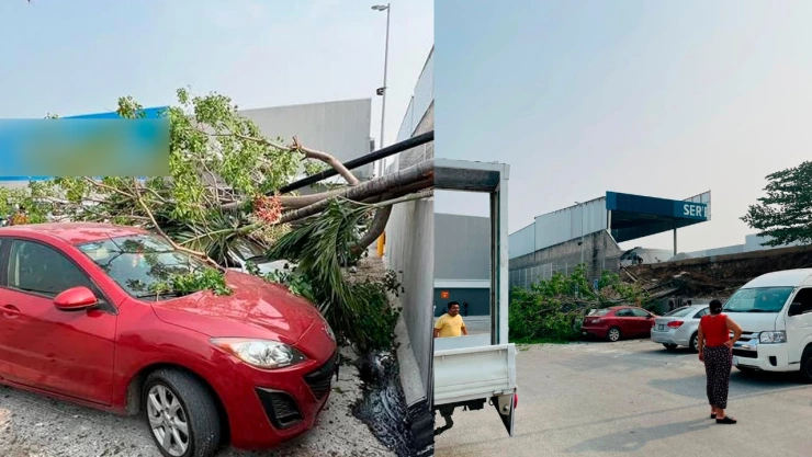Árboles caen sobre vehículos estacionados en Plan de Ayala