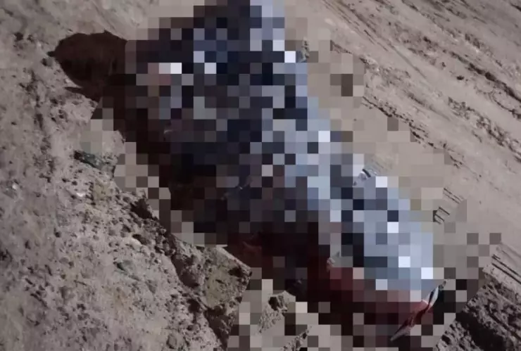 Encobijado en Ejido Lázaro Cárdenas